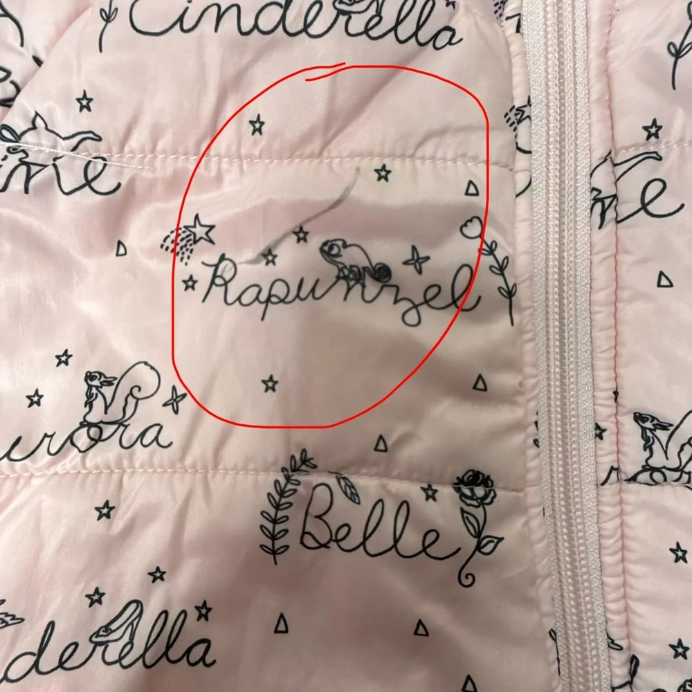 Disney Store‎ Pink Quilted Girls Size 9/10 Coat Puffer Jacket Princess Names